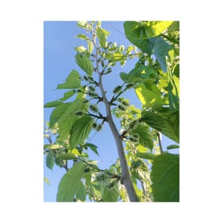 Green Mulberry tree, green leaves, nature plant photography T-Shirt