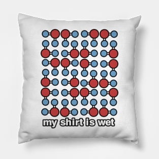 My Shirt Is Wet Science Meme Pillow