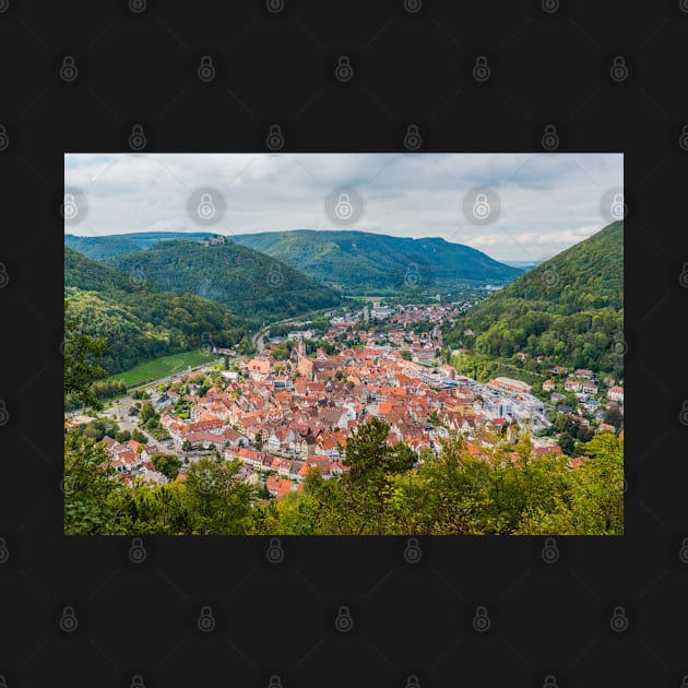 Bad Urach, view of the town centre from the Grafensteige hill by mbangert