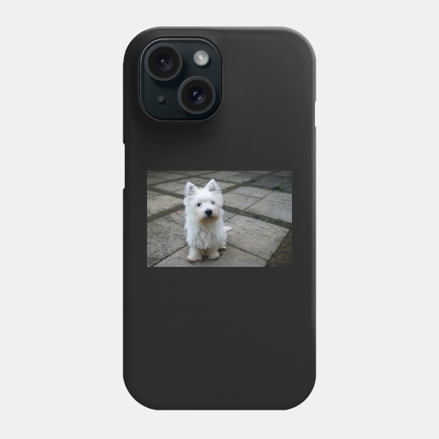 Westie Phone Case by princess-pirate