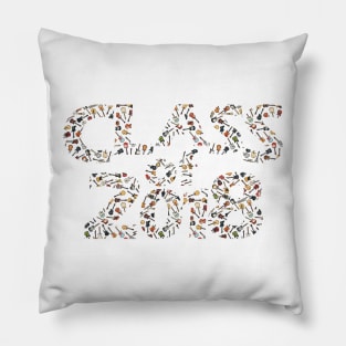 Class of 2018 Silhouette Filled with Guitars Pillow