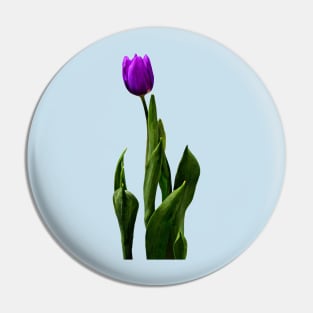 Single Purple Tulip Pin