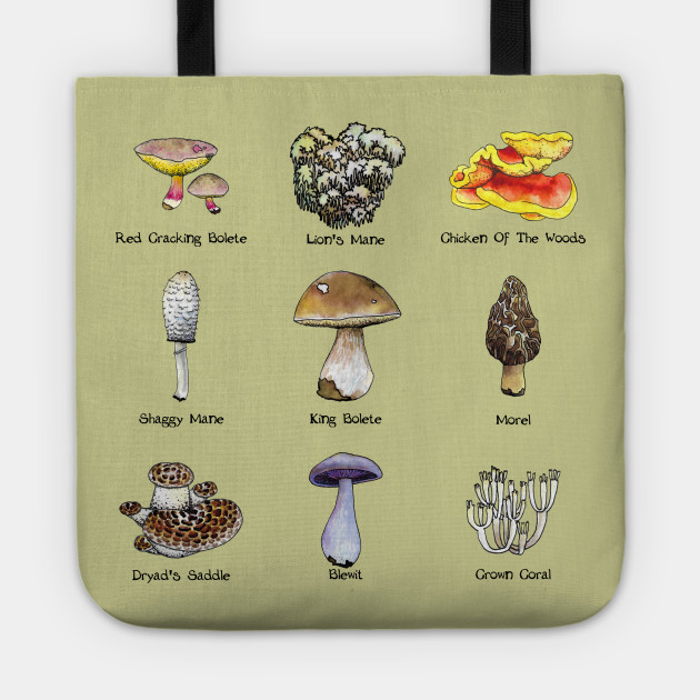 Mushroom Id Chart