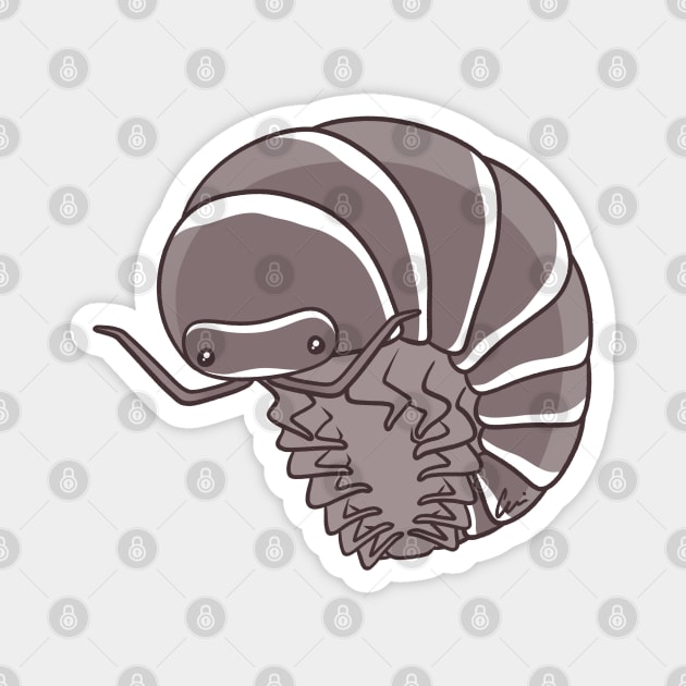 Zebra Isopod Or Zebra Pillbug - Armadillidium Maculatum Magnet by anacecilia