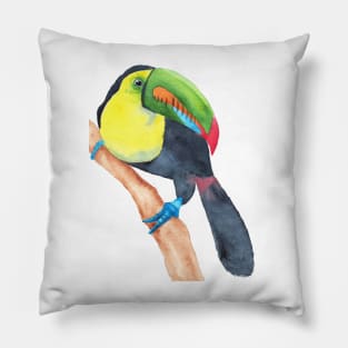 Toucan tocard watercolor Pillow