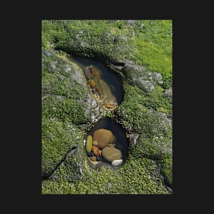 Two Rock Pools T-Shirt