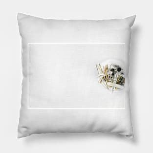 Minimalistic design Pillow