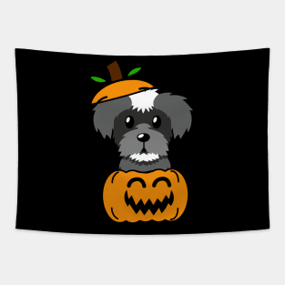 Funny Schnauzer is in a pumpkin Tapestry