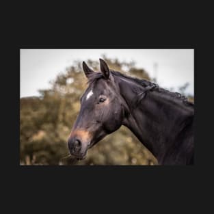 Horse relaxes on pasture T-Shirt