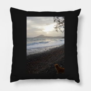 Southwester Pillow