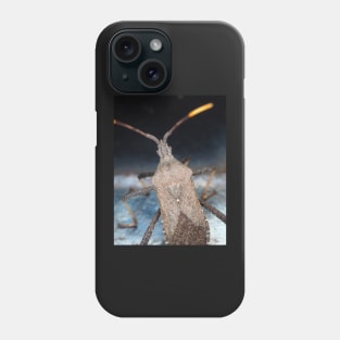 A leaf-footed bug from Texas, USA identified as Acanthocephala terminalis Phone Case