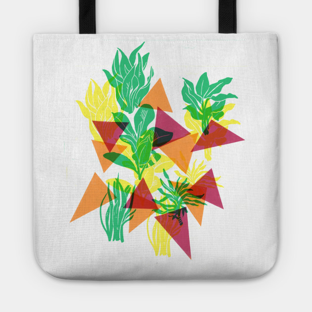 Plants and Shapes