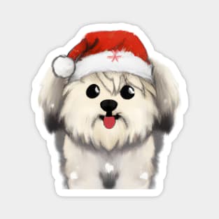 Cute Havanese Drawing Magnet