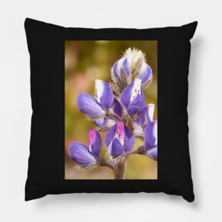 Lupine Flower Pillow