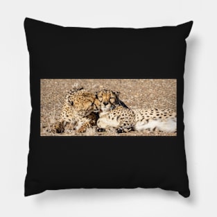 Two cheetah. Pillow