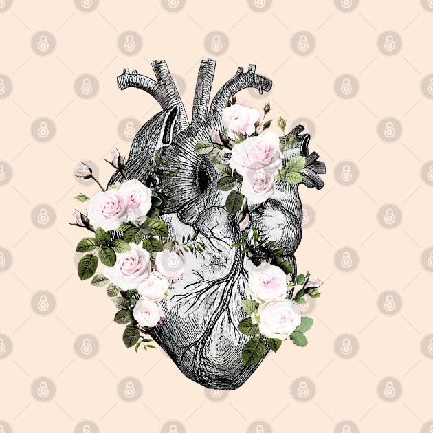 Human heart and roses, anatomy illustration art, lightpink roses and leaves by Collagedream