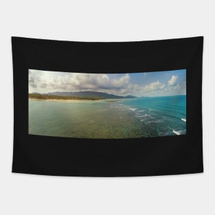 Aerial view of idyllic emerald tropical sea and beach Tapestry