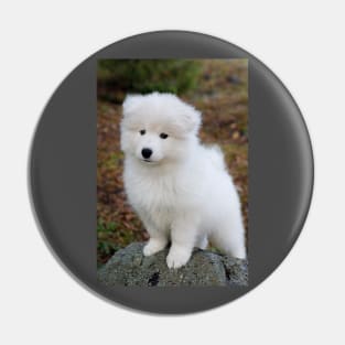 Cute samoyed dog puppy in the forest Pin