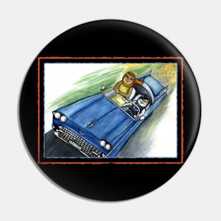 Cats driving in cool retro car Pin