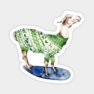 Llama in Green Sweater Magnet