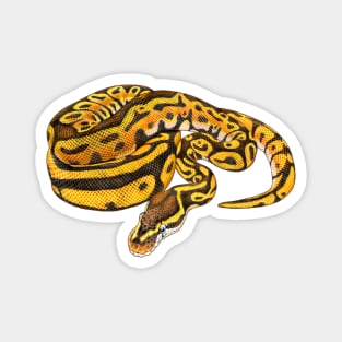 Ball Python Magnet