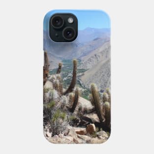 SCENERY 93 - Summer Desert Cactus Plant Landscape Wilderness Phone Case