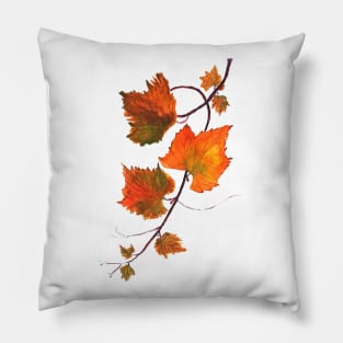 orange grapevine watercolor Pillow