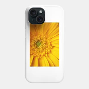 Close Up Yellow Gerbera Daisy Phone Case