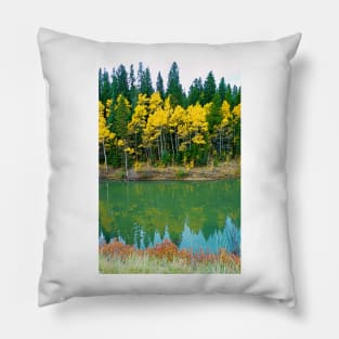 Colorado Aspens Study 35 Pillow