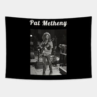 Pat Metheny / 1954 Tapestry