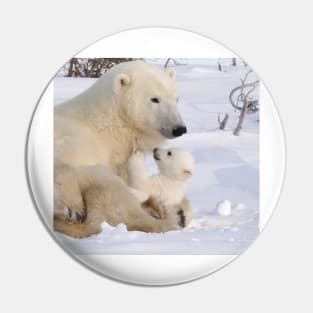 Mother polar bear relaxing with cub Pin