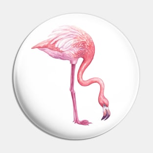 Flamingo 2 Pin