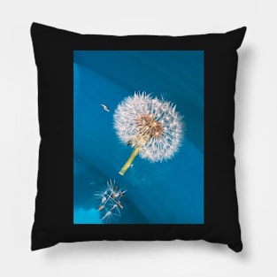 White Dandelion Pillow