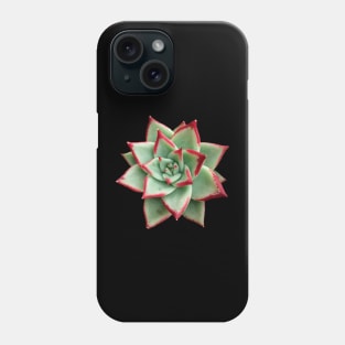 Echeveria Red Tips Phone Case