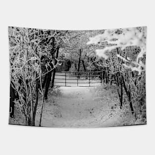 The Winter Gate. Tapestry