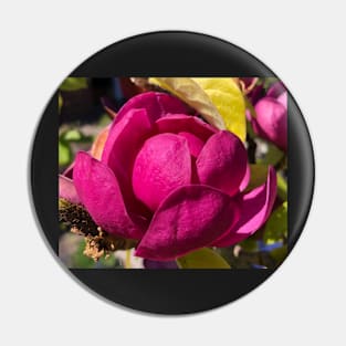 Magenta Magnolia Pin