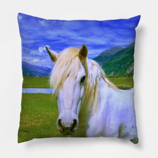 Horse in Wonderland / Swiss Artwork Photography Pillow