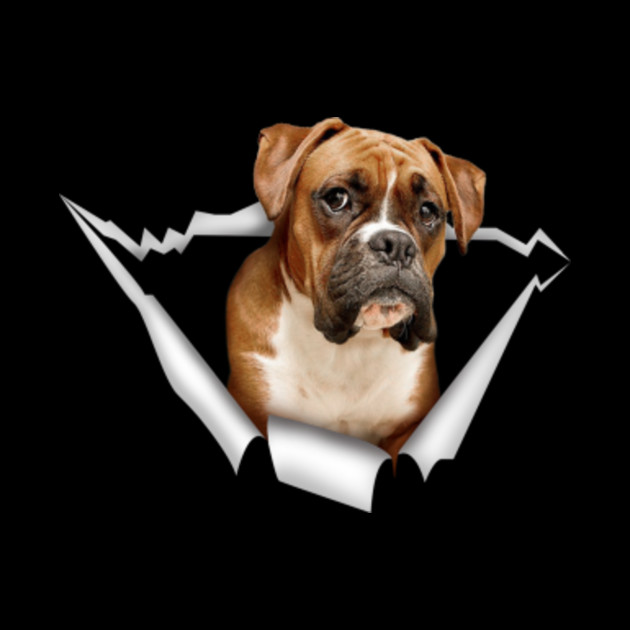 Beautiful Boxer Dog 3d Sticker Dog Beautiful Boxer 3d Sticker