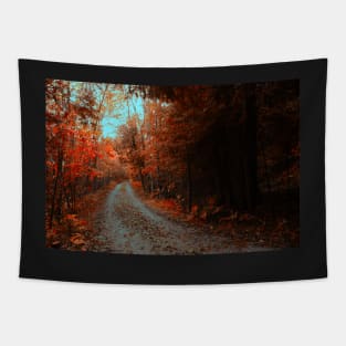 Follow Your Own Path Tapestry