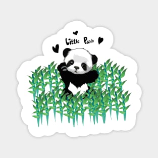 Little cute panda bear Magnet