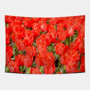 Red Tulips Tapestry