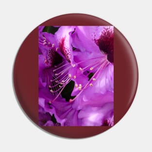 The Rhododendron Pin