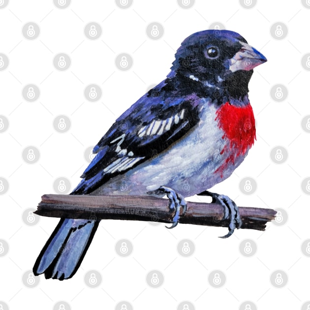 Rose Breasted Grosbeak bird painting (no background) by EmilyBickell