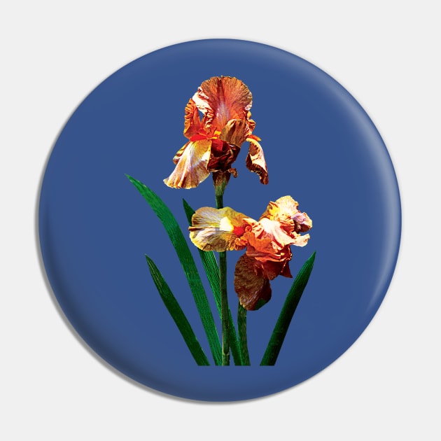 Irises - Bronze-Colored Irises Pin by SusanSavad