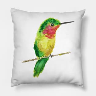 Watercolor Hummingbird Pillow