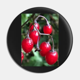 Forest Bathing with the  Shine of Red Winter Christmas Berries Pin