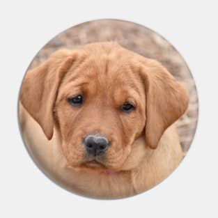 Puppy Cuteness Pin