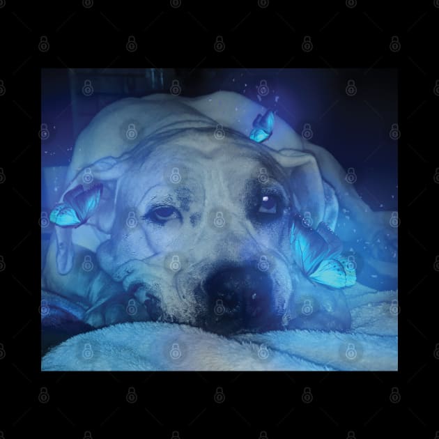 Dog and Blue Glowing Butterflies by Dad n Son Designs