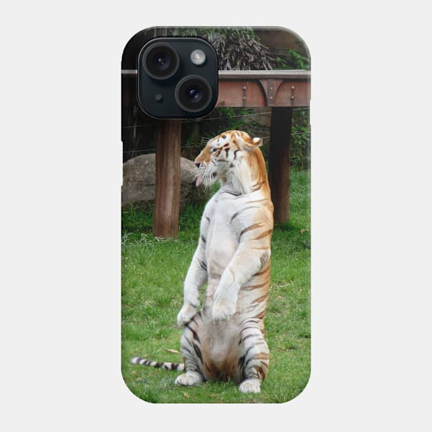 Sitting Tiger 2 Phone Case by LeanneAllen