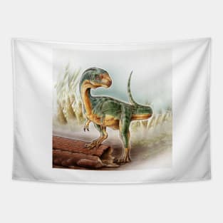 Dinosaur Baby Tapestry